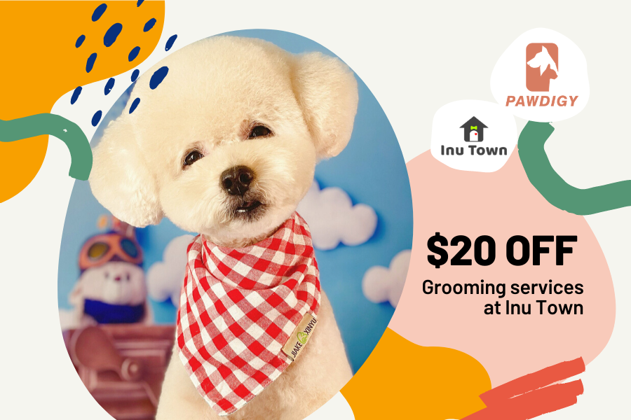 Inu Town - $20 OFF Grooming Services