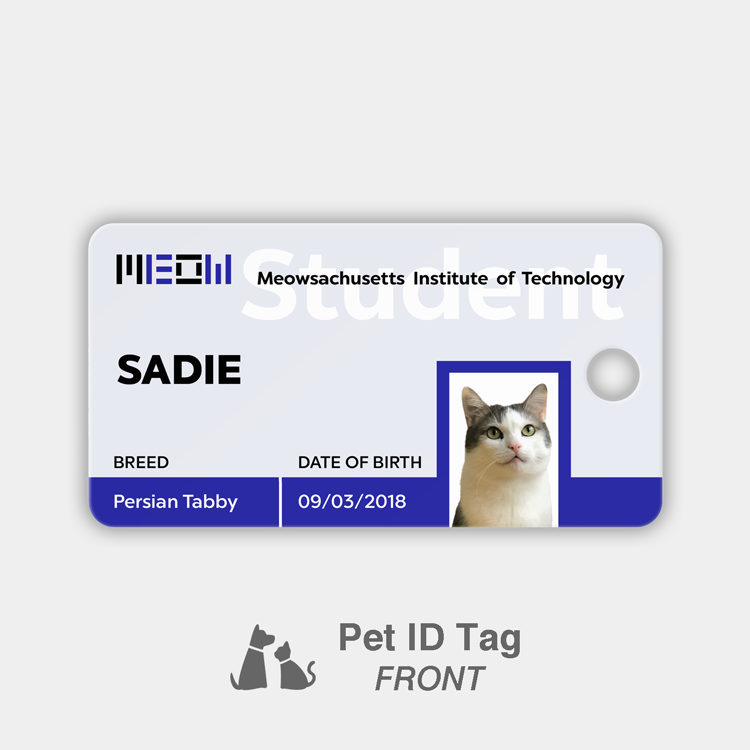 Meowsachusetts Institute of Technology (3 x tags)